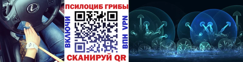 Псилоцибиновые грибы GOLDEN TEACHER  как найти закладки  Гагарин 